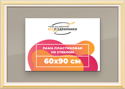 Рамка 60x90 для постера и фотографий