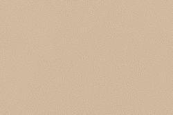 Велюр Prince / Принц