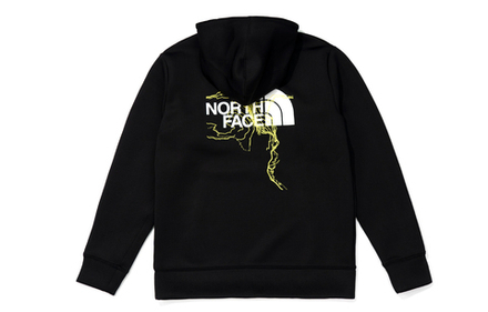 Худи THE NORTH FACE Logo, NF0A7WF1-JK3