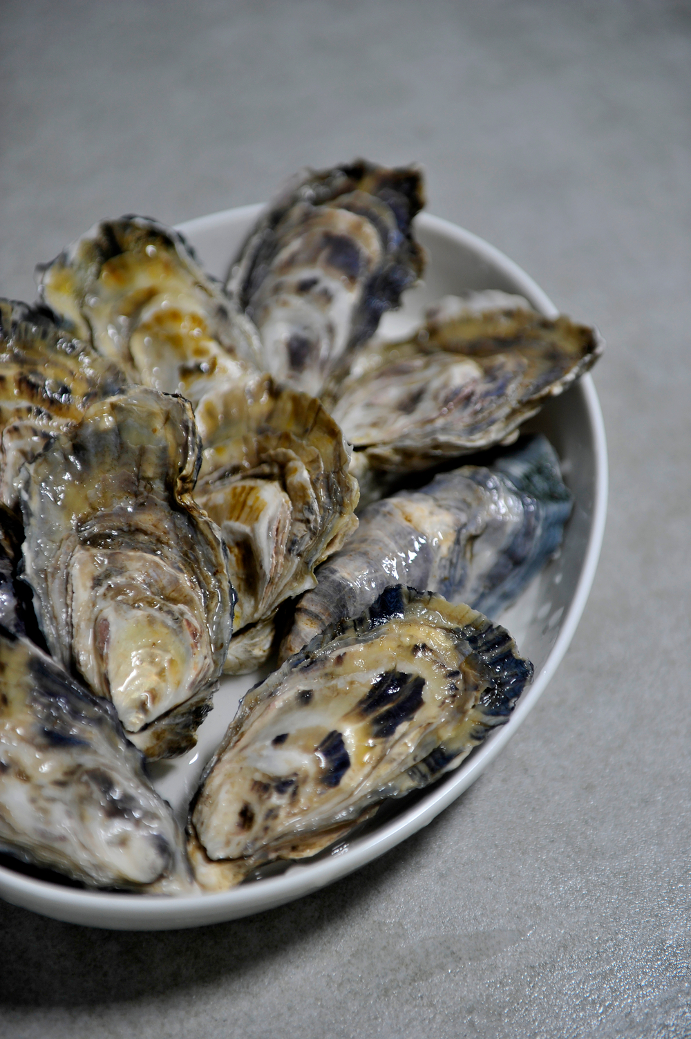 Устрица Розовая Джоли