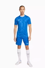 Футболка Nike Dri-FIT Challenge V