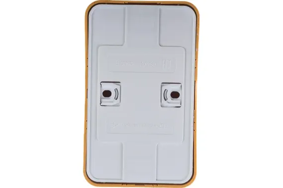 Розетка Systeme Electric BLANCA с заземлением двойная накладная ясень 30883