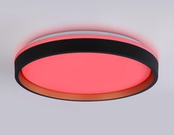 Ambrella Светодиодный светильник RGB с пультом управления Dance FZ610