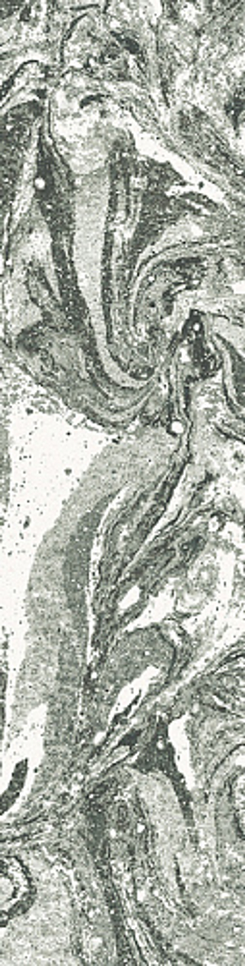 Керамогранит ARCANA SPUMA Menta 8x31,5 8 мм. ARC_85E1