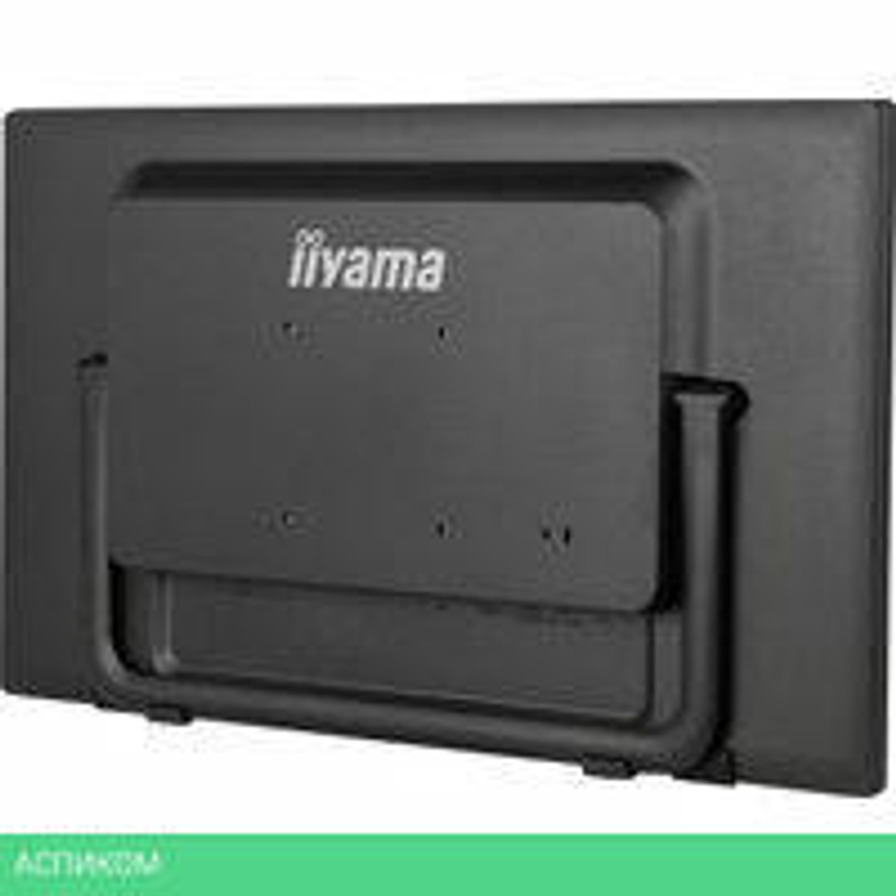Портативный монитор Iiyama ProLite T2455MSC-B1