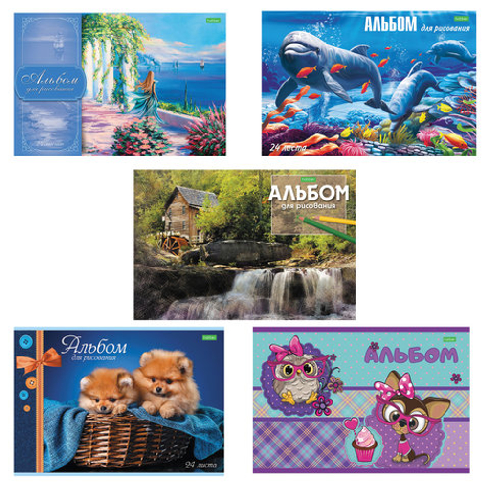 Альбом для рисования А4 24л., скоба, обложка офсет, H  205х290мм, Ассорти (5 видов)