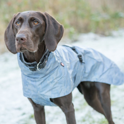 Попона-дождевик светоотражающая Lunas Trixie