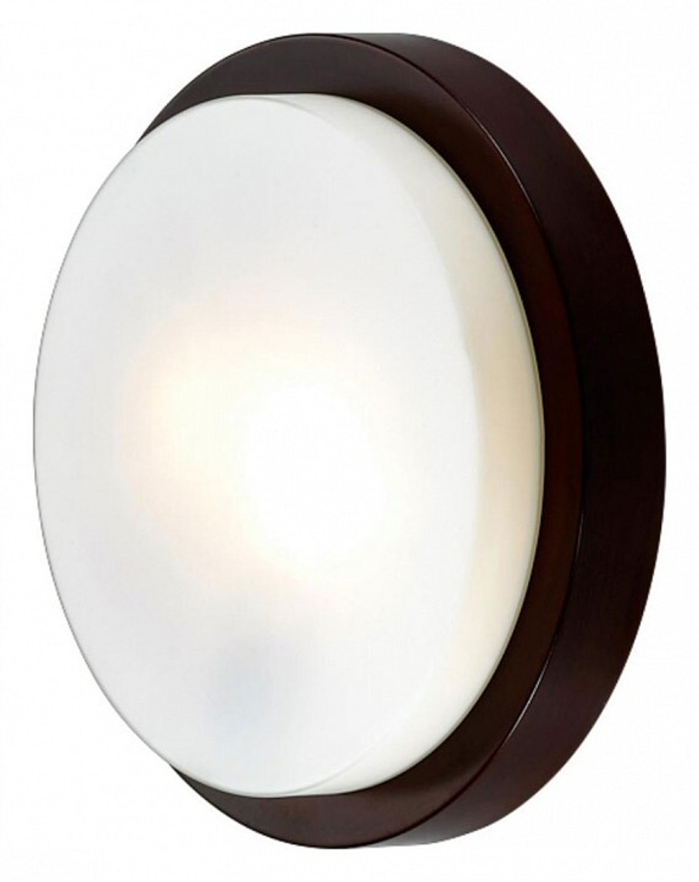Накладной светильник Odeon Light 2744/2C