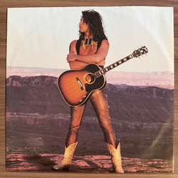 Виниловая пластинка Jon Bon Jovi - Blaze Of Glory LP