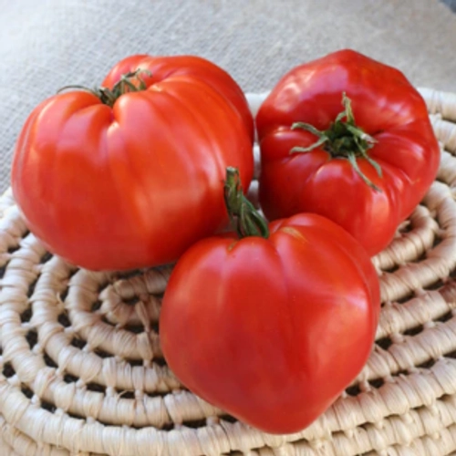 Немецкая красная клубника / German Red Strawberry