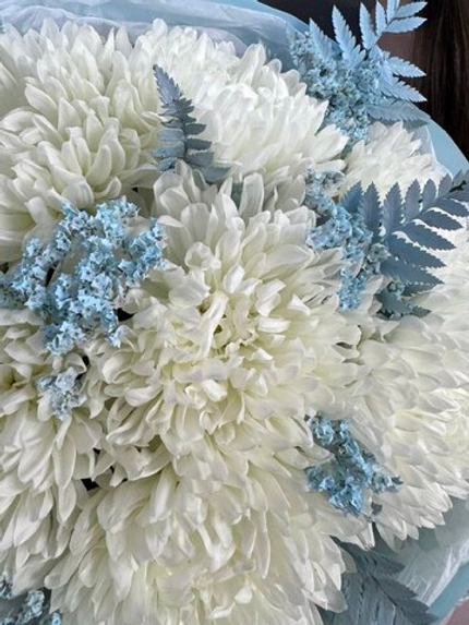 Букет из 7 хризантем "Антонов" в голубой гамме