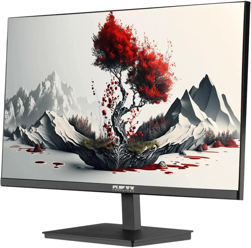 Монитор 23,8" RDW Computers 2401K/F00В3120V2A1