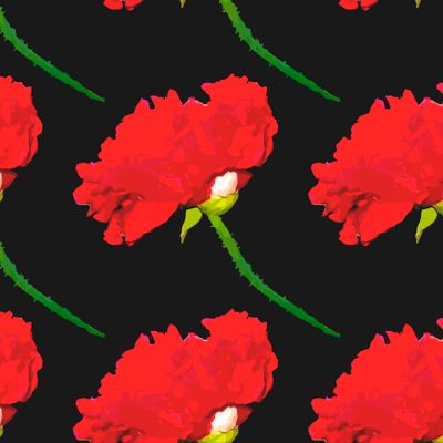 Красные маки на черном фоне