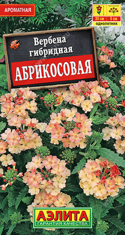 Вербена Абрикосовая 10шт (Аэлита)