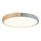 SLE201372-01 Светильник потолочный Серый, Светлое дерево/Белый LED 1*40W 3000K/4000K/6000K DELIA