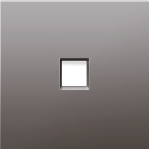 Накладка для розетки RJ45, 1-я, сталь, серия R98