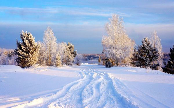 С новым спортивным началом!