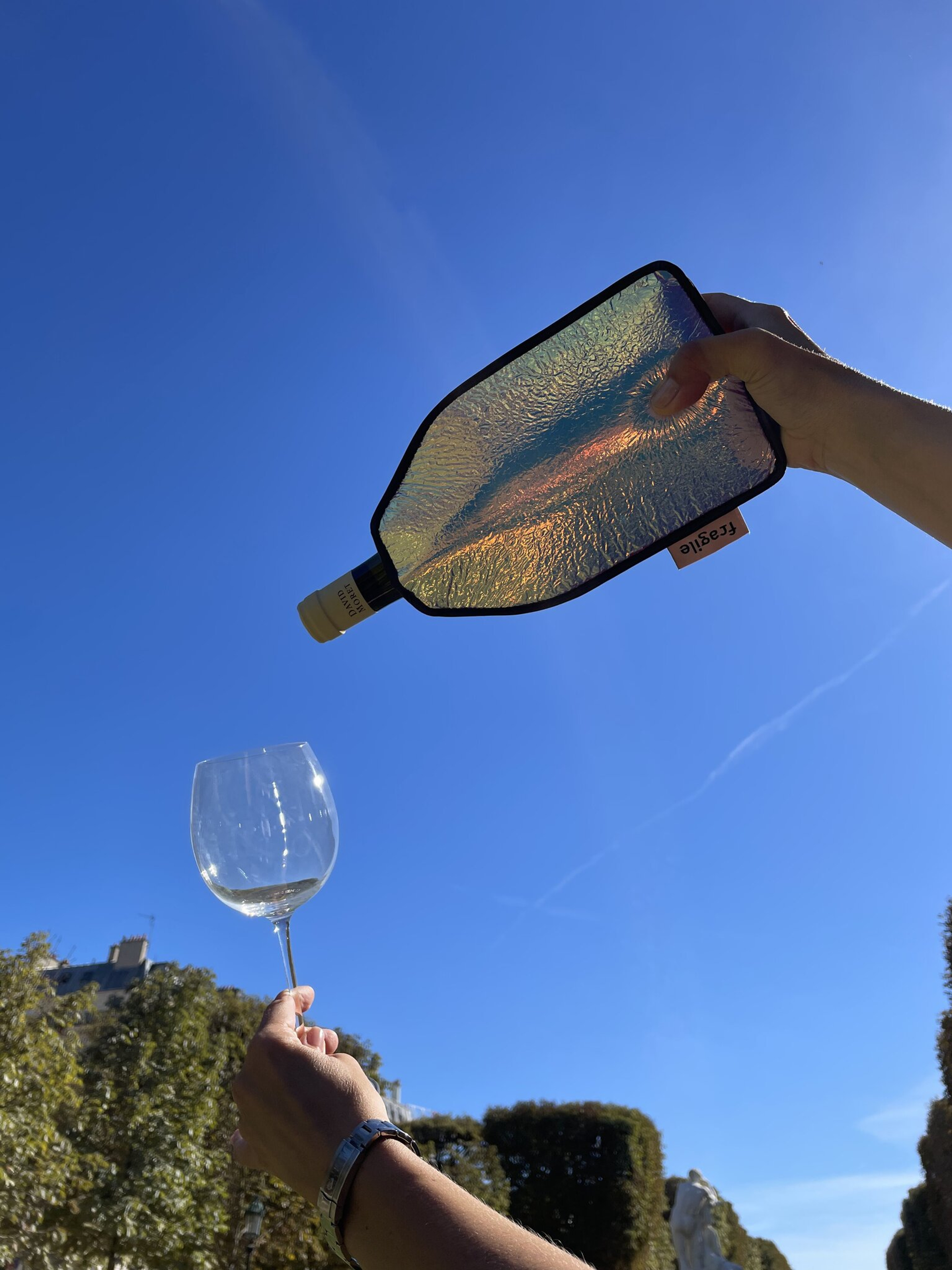 Охлаждающий футляр для бутылки 750 мл SPACE Bordo