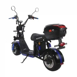 Электроскутер SKYBOARD CITYCOCO BR30-2WD PRO FAST