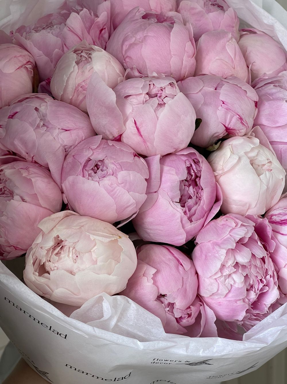 Букет 25шт розовых пионов