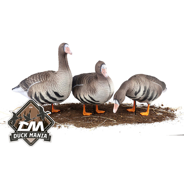 Белолобый гусь S-XPE 3D мод. B622-3D