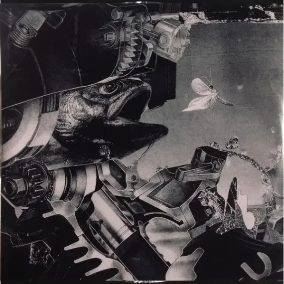 Black Midi – Schlagenheim LP