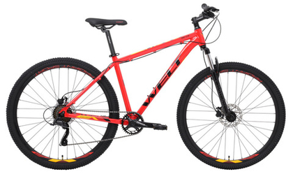 Горный велосипед Welt Ridge 1.0 HD 29 (2024)