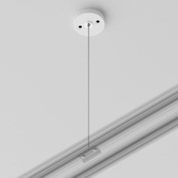 Подвес Maytoni Technical TRA001CW-11W