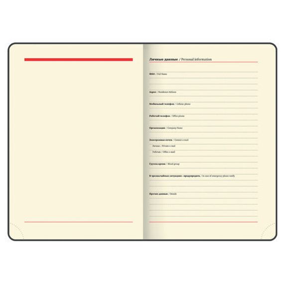 Gündəlik/Ajanda/Ежедневник/Diary Ежедневник недатированный А5 Metropolis Mix  желтый