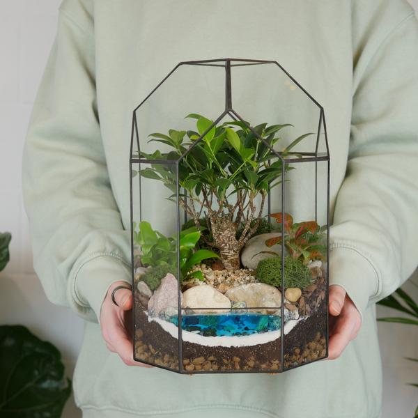 Готовый флорариум бонсай Фикус Бонсариум с озером