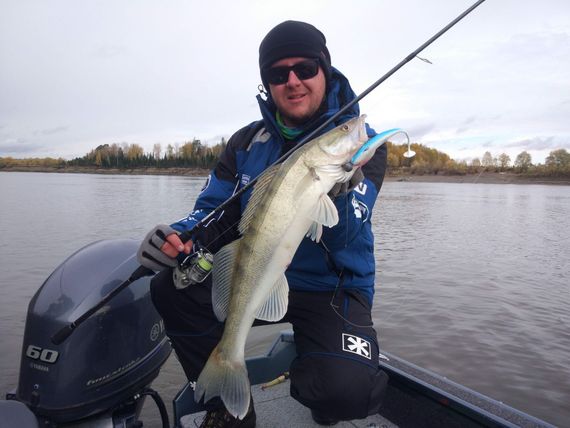 Виброхвосты LJ Pro Series 3D BASARA SOFT SWIM 12,70/PG01 4шт.