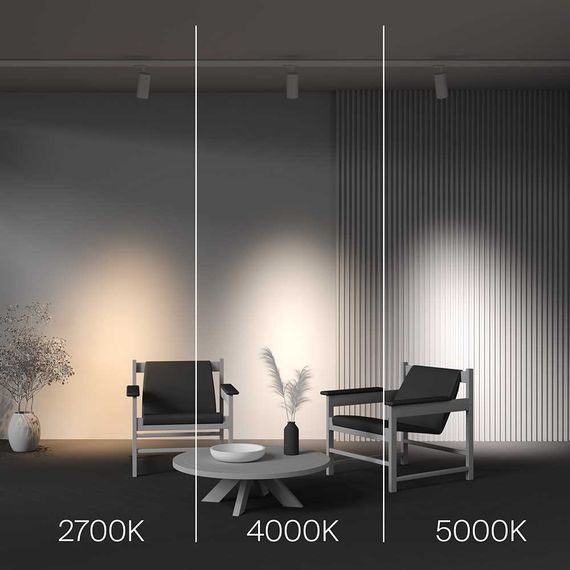 Трековый светильник Maytoni Technical TR197-3-40WCCT-M-W