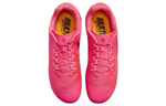Кроссовки Nike Zoom Rival Multi