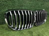 Решетка радиатора BMW X5 G05 (2018-2023)