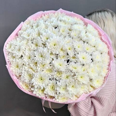 Букет из 15 кустовых хризантем сорта "Baltica white"