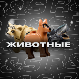 Животные Животные