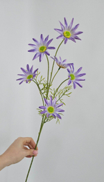 Хризантема / Арт 2437