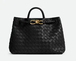Сумка Bottega Veneta Medium Andiamo черный