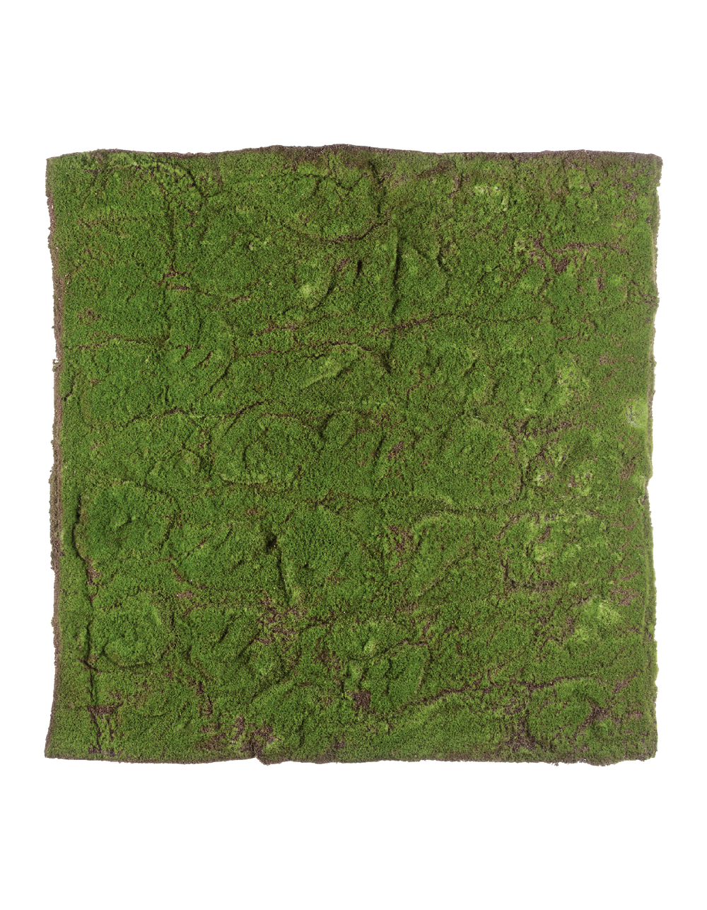 Мох полотно (30.0312011L) 100 х100 см 4/4 20.03180277L
