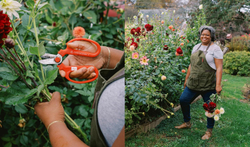 The Flower Farmers: Inspiration & Advice from Expert Growers