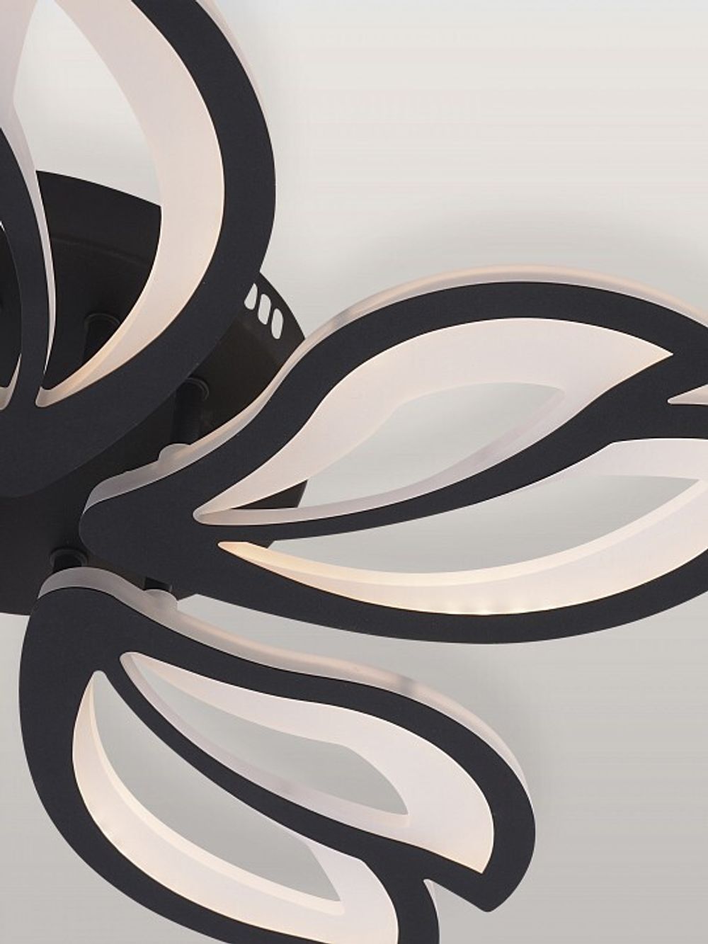 Потолочная люстра Natali Kovaltseva FORTUNA LED LAMPS 81107/5C