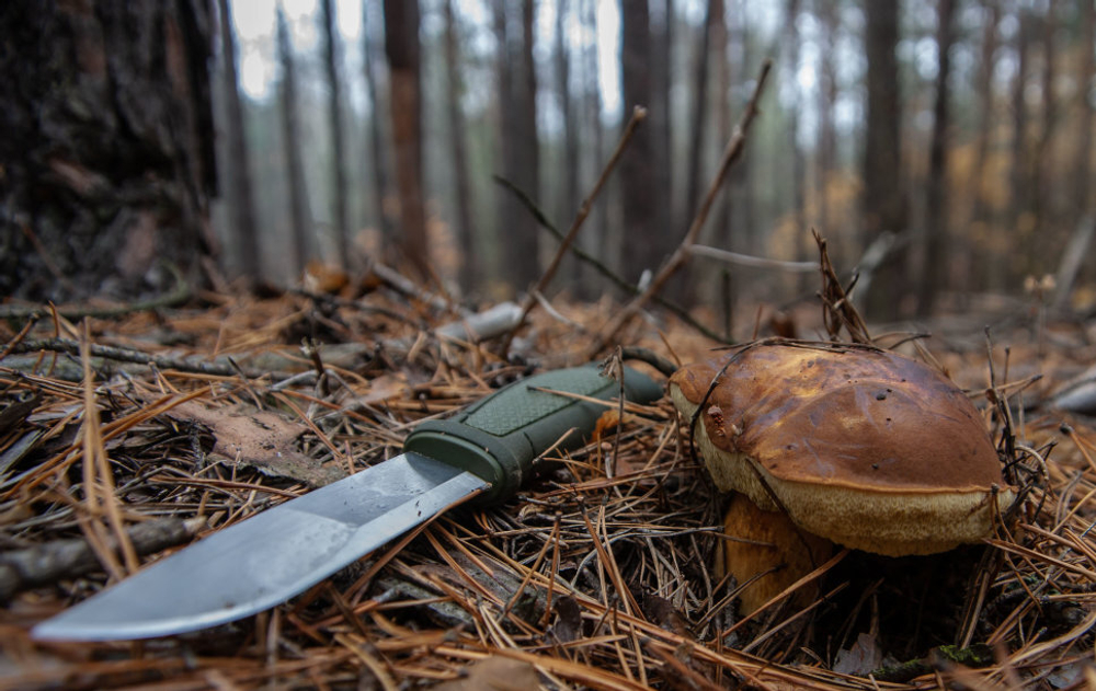 Нож Morakniv Kansbol with Survival kit, нержавеющая сталь, с огнивом, 13912