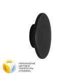 Уличный настенный светодиодный светильник Arte Lamp NIMBO A3412AL-1BK