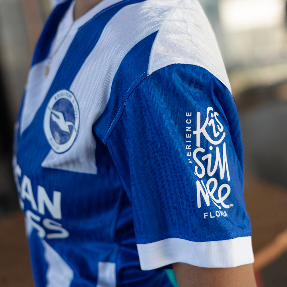 Брайтон / Домашняя / Игровая