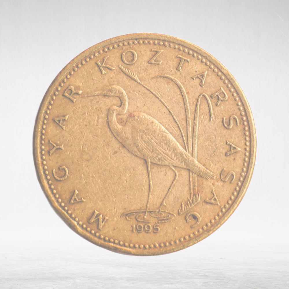 Hungary, 5 Forint, 1995, VF