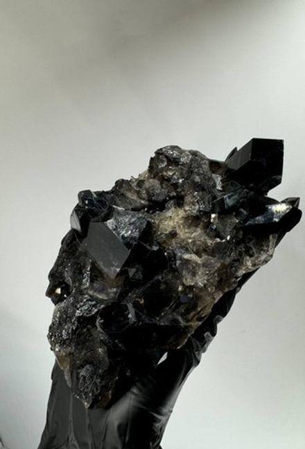 Друза Мориона