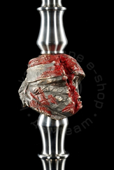 MAKLAUD HELIOS PROJECT SEPARAID