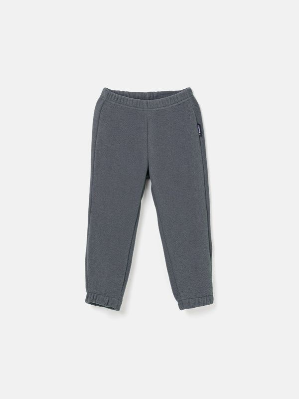 Джоггеры флисовые 