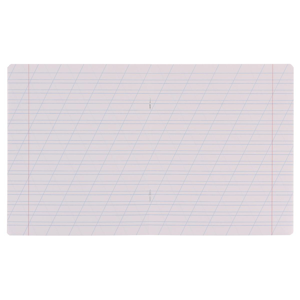 Тетрадь школьная А5 12л косая линия,ассорти "Классика Light" (Erich Krause) микс цветов (комплект 5 шт)