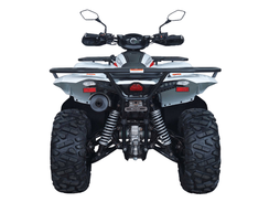 Квадроцикл ACCESS AMX800 Long Base (ПСМ)